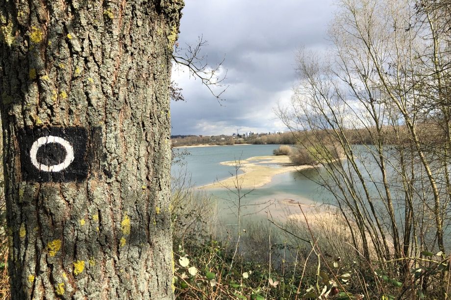 Kölnpfad - Wandern rund um Köln