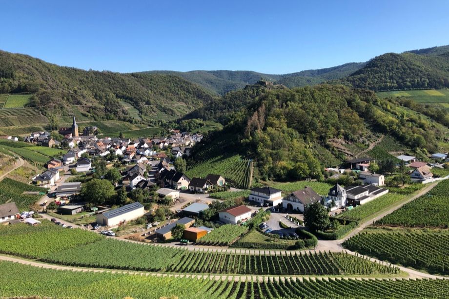 Rundwanderung Ahr: Blick auf Mayschoß