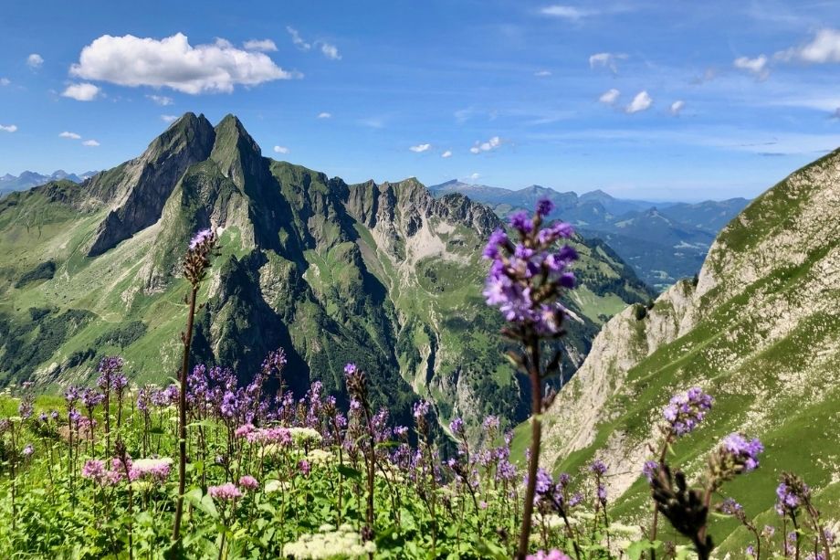 Oberallgäu Bergparadiese