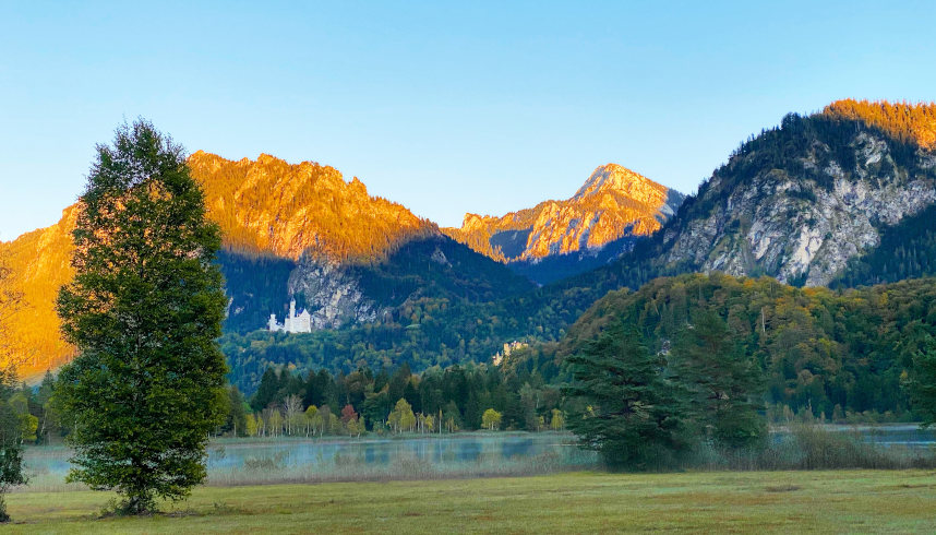 Ausblick vom Schwansee auf die Königsschlösser