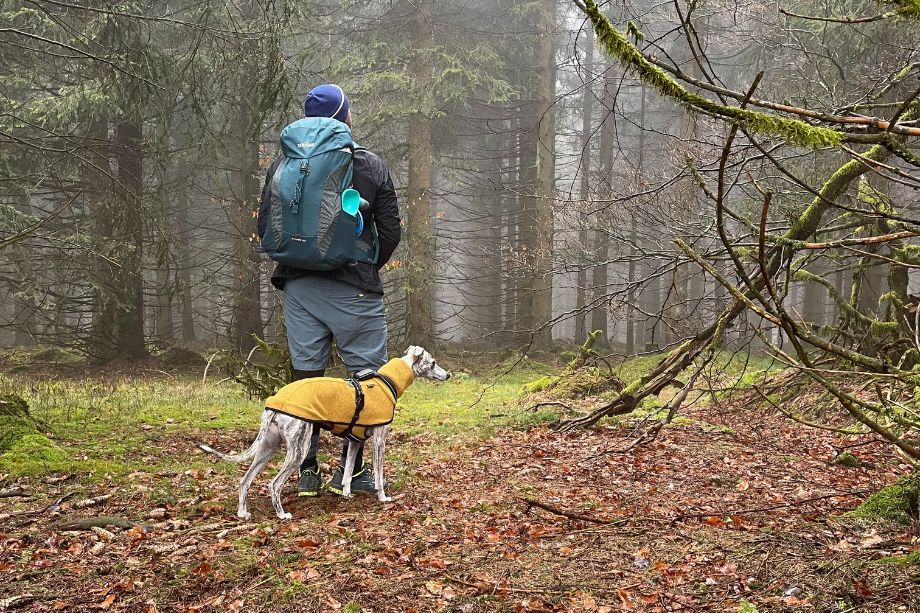 Wanderrucksack Tatonka im Test